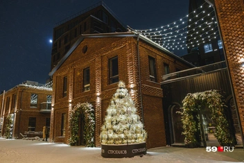 Источник: Тимофей Калмаков / 59.RU