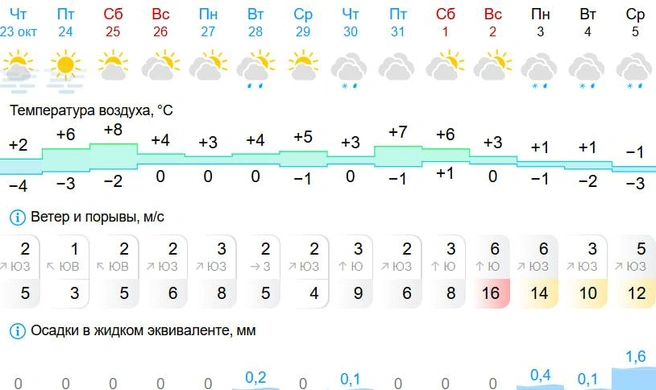 В конце ноябрьских выходных ожидается снег с дождем | Источник: Gismeteo