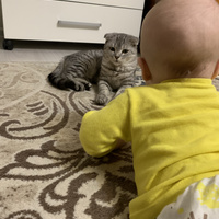 Аватарка MaryL