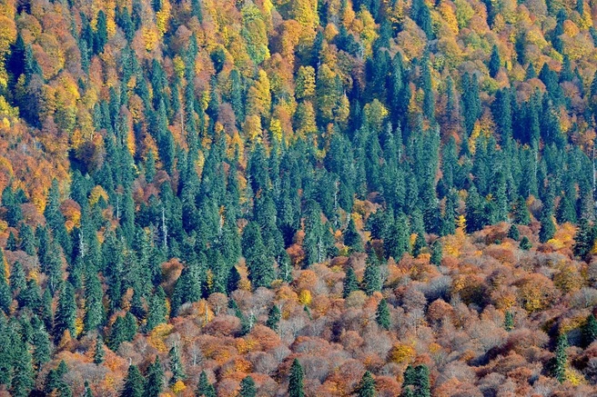 Источник: Дмитрий Андреев / mountaindreams.ru