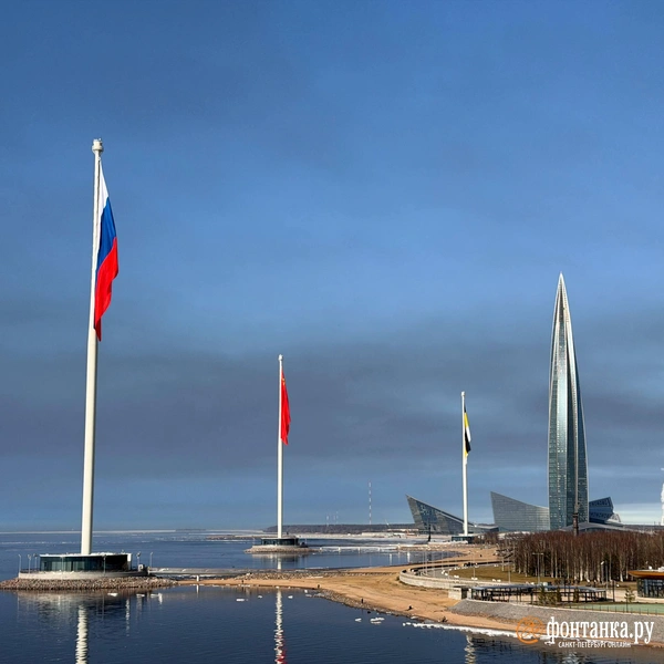 Источник: Сергей Михайличенко / FONTANKA.RU