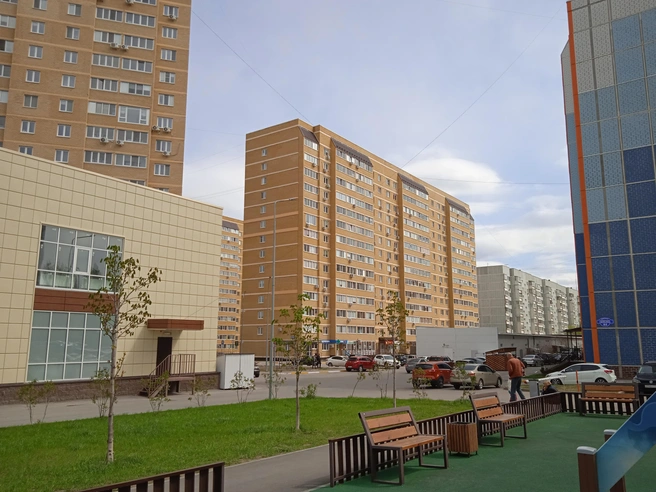 Ульяновская семья отравилась угарным газом: прокуратура начала проверку | Источник: Дмитрий Сильнов / 173. RU