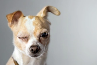 Источник: iStockphoto
