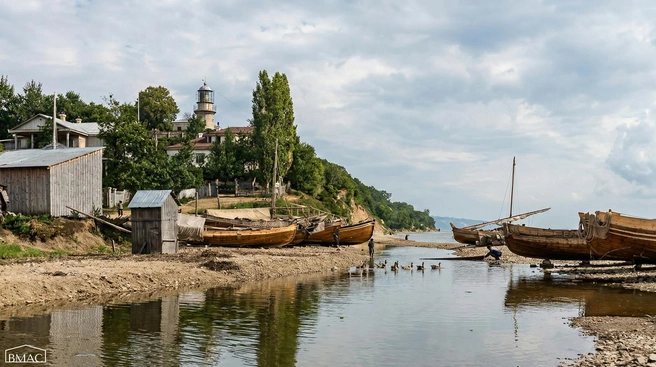 Источник: vmasochi / T.me