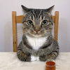 userpic__malikanazarova1