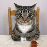 Аватарка malikanazarova1