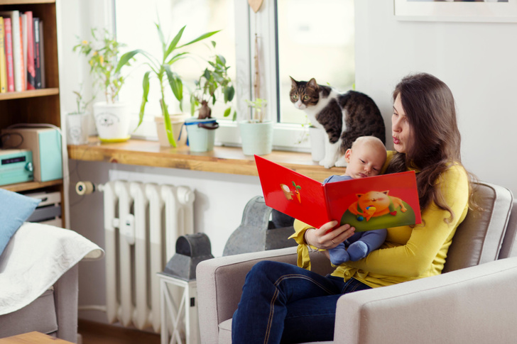 5 книг о котиках для самых маленьких
