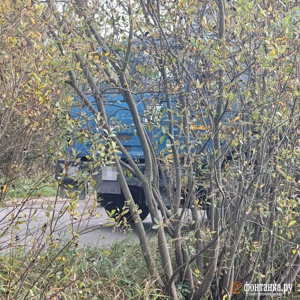 Источник: читатель «Фонтанки»