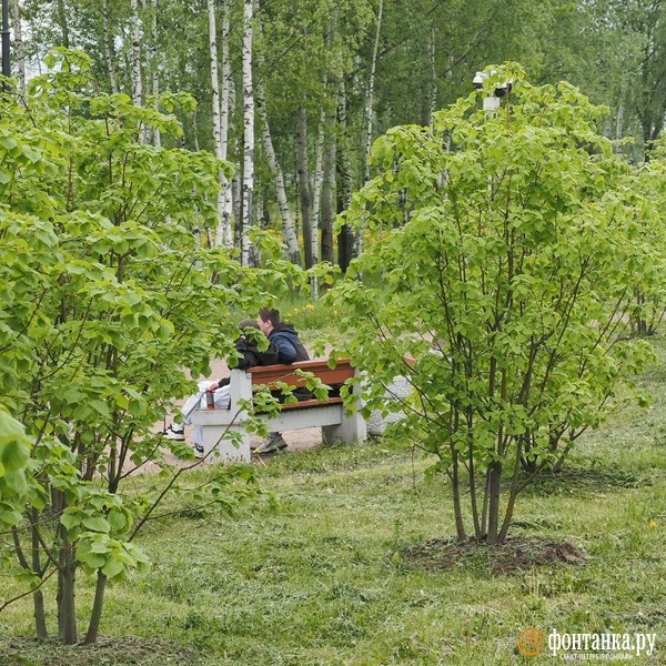 Источник: Михаил Огнев / «Фонтанка.ру»