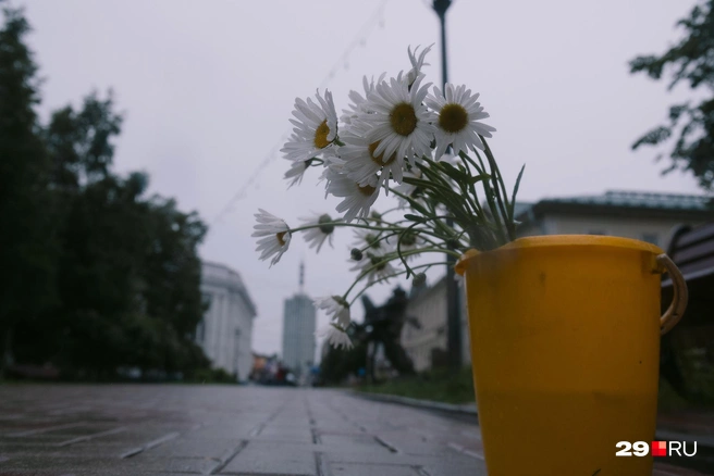 Источник: Иван Митюшёв / 29.RU