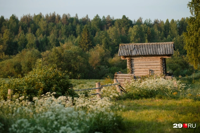 Источник: Иван Митюшёв