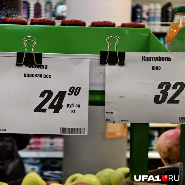 Источник: Булат Салихов / UFA1.RU