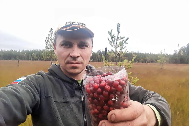 Летом и осенью Максим не вылезает из чердынских лесов — он вместе с местными жителями собирает ягоды и грибы | Источник: Ягодная Парма / Vk.com
