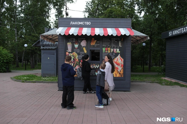 Подростки торговали едой в таких ларьках | Источник: Андрей Бортко / NGS.ru