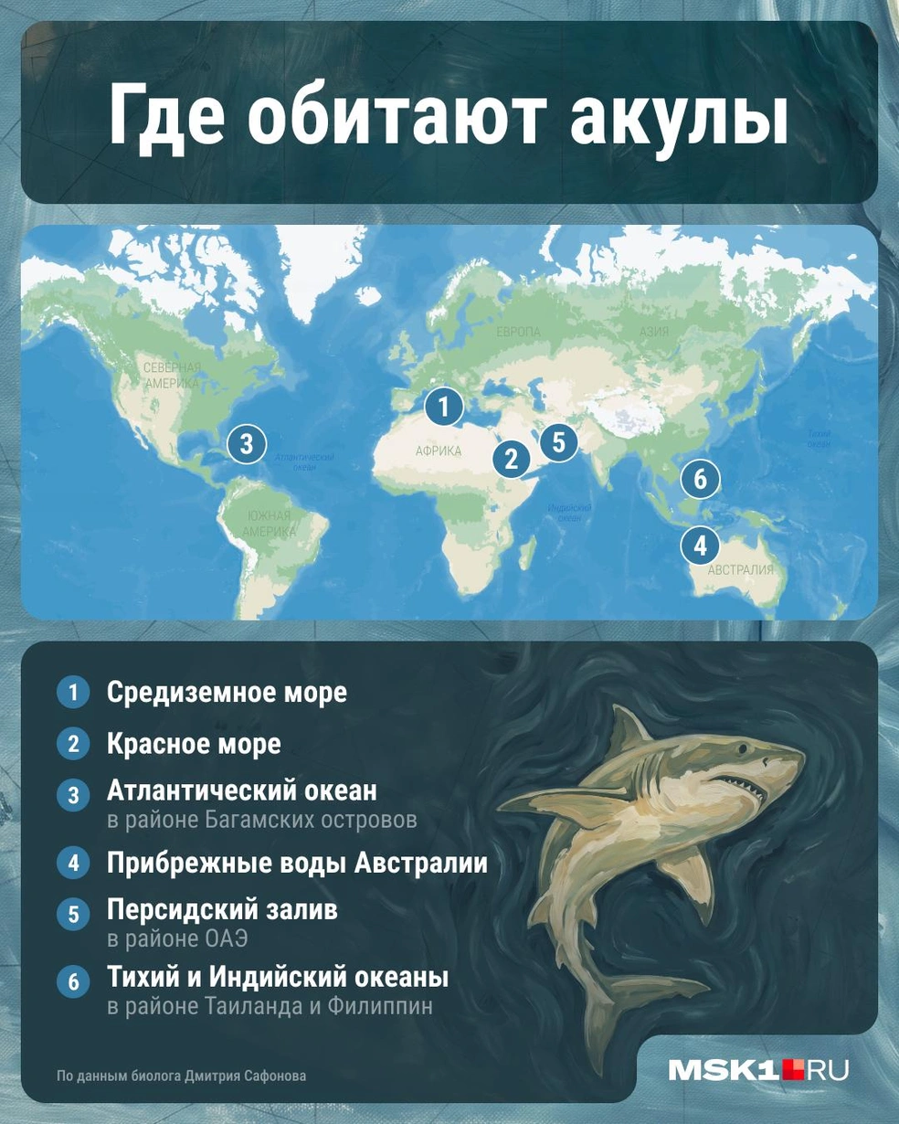 Популярные у россиян курорты&nbsp;— в зоне риска | Источник: Серафима Пантыкина