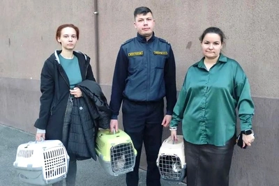 Должница бросила питомцев при выселении из ипотечной квартиры