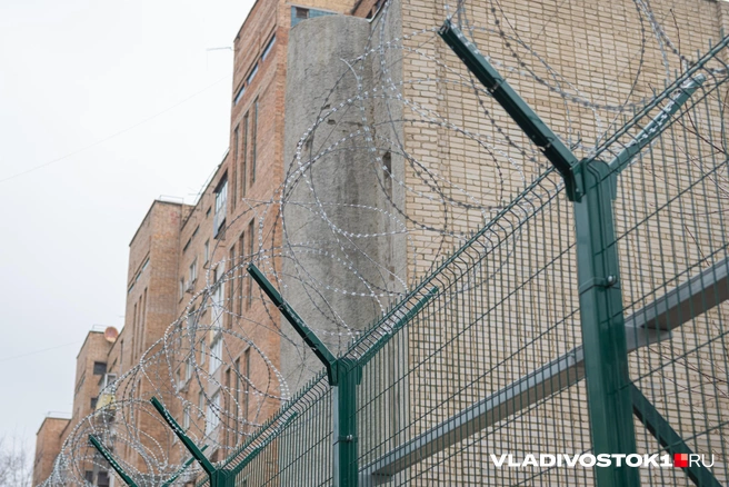 Общественность встала на сторону подозреваемого | Источник: Елена Буйвол / VLADIVOSTOK1.RU