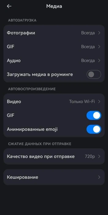Внутри вкладки «Медиа». Здесь можно задать качество видео при отправке, а также автоматическую загрузку различного контента — звуков, фотографий | Источник: Павел Красоткин / 72.RU