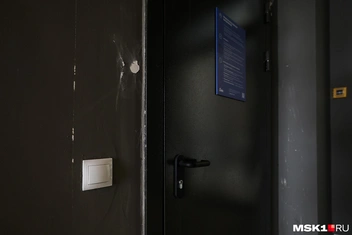 Вход в «Лапомойку» может испугать даже самую смелую собаку | Источник: Артём Устюжанин / MSK1.RU