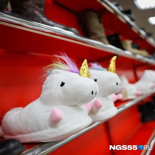 Веселые тапочки | Источник: Евгений Софийчук / NGS55.RU