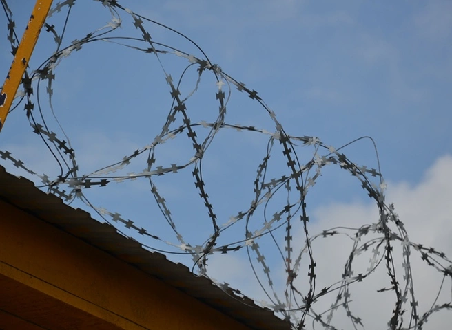 Сасовец отправится в тюрьму за покушение на бывшую жену и тещу | ya62.ru