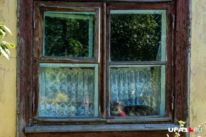 Вот на кого точно стоит обратить внимание | Источник: Булат Салихов / UFA1.RU