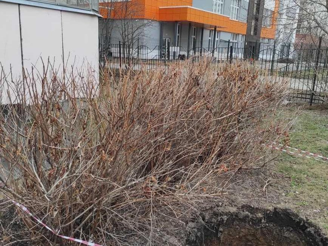 Яму идеальной круглой формы на придомовой территории по Блюхера, 43 огородили предупредительной лентой | Источник: читатель E1.RU