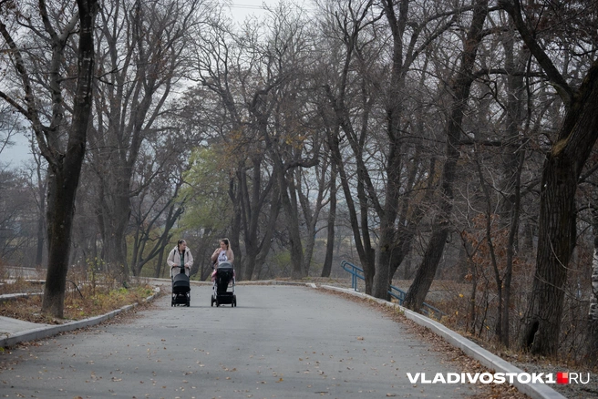 Источник: Елена Буйвол / VLADIVOSTOK1.RU