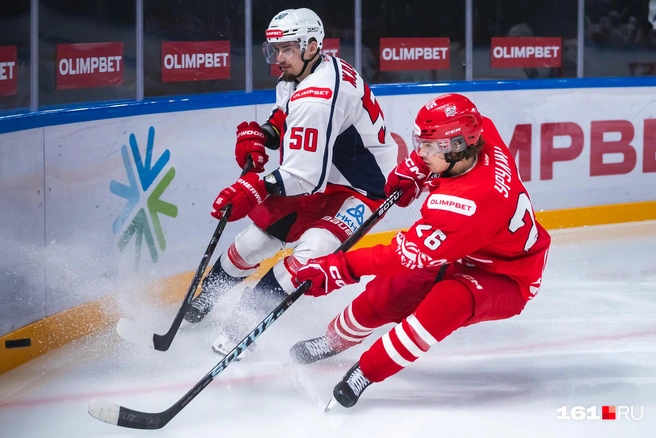 Источник: Евгений Вдовин / 161.RU