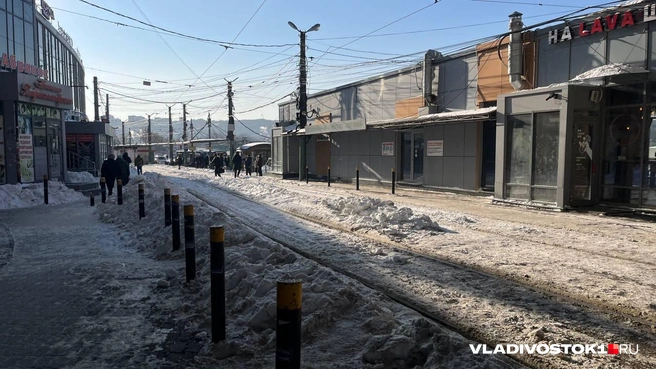 Источник: Елена Буйвол / VLADIVOSTOK1.RU