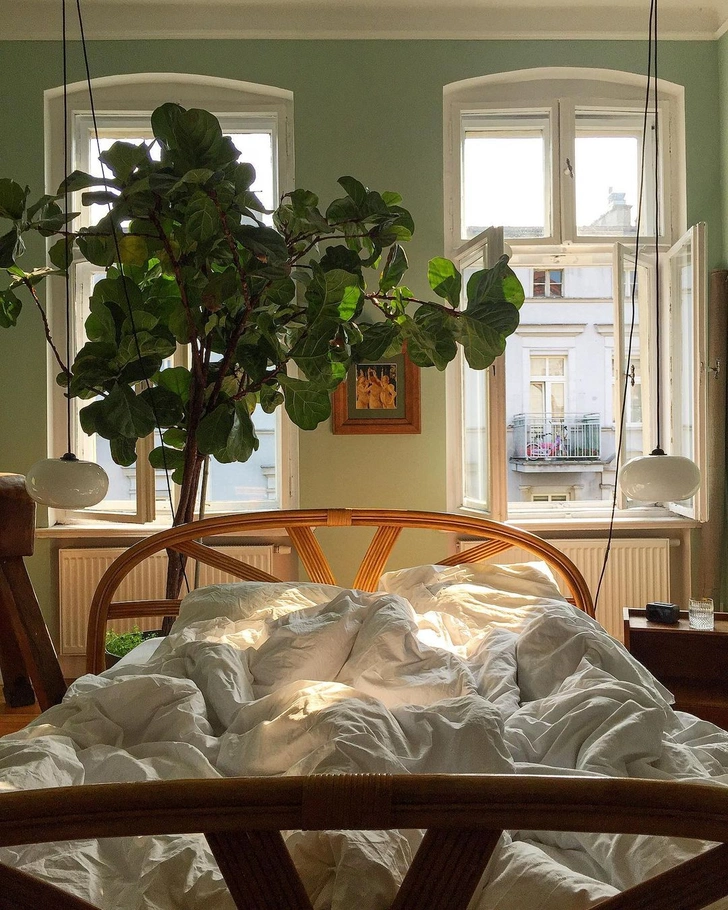 Источник: PIGA_HAUS