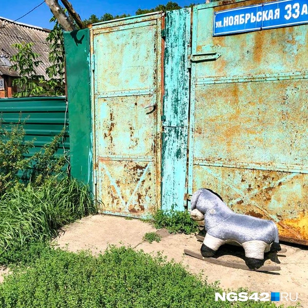 Источник: Александр Левчук / NGS42.RU