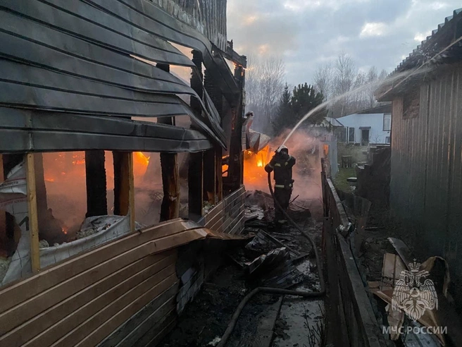 Пожар случился на участке частного дома | Источник: пресс-служба МЧС по Алтайскому краю