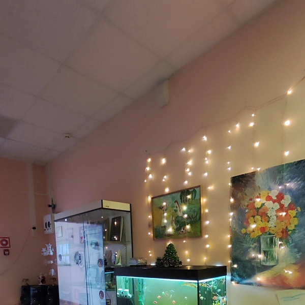 Источник: Татьяна Тельпис / Voronezh1.ru