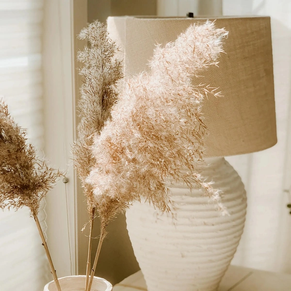 Источник: Рокс Ван Дель