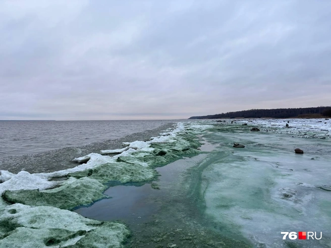 Специалисты уверяют, что показатели Рыбинского водохранилища не изменились | Источник: читатель 76.RU