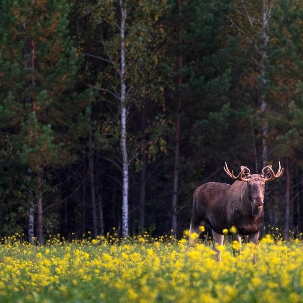 Источник: Виталий Бодрягин / t.me