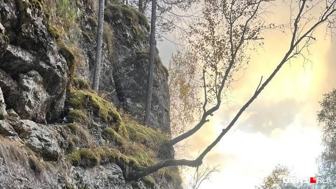 Виды чудесные | Источник: Читатель UFA1.RU