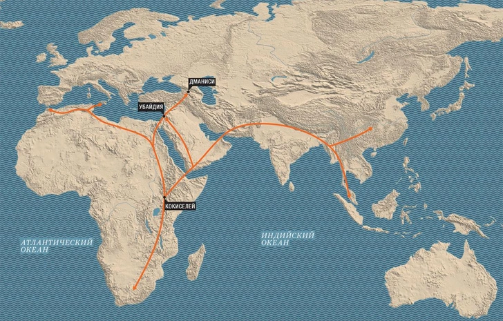Первый поход: как и почему предки современных людей вышли из Африки и начали расселяться по миру