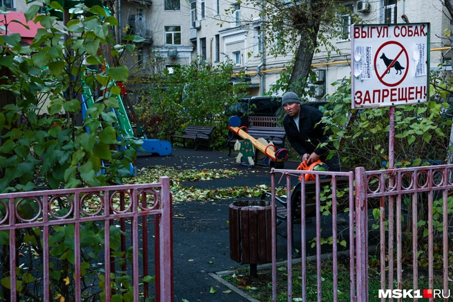 Дворники Москвы избавляют дворы от листьев с помощью воздуходувок  | Источник: Артём Устюжанин / MSK1.RU
