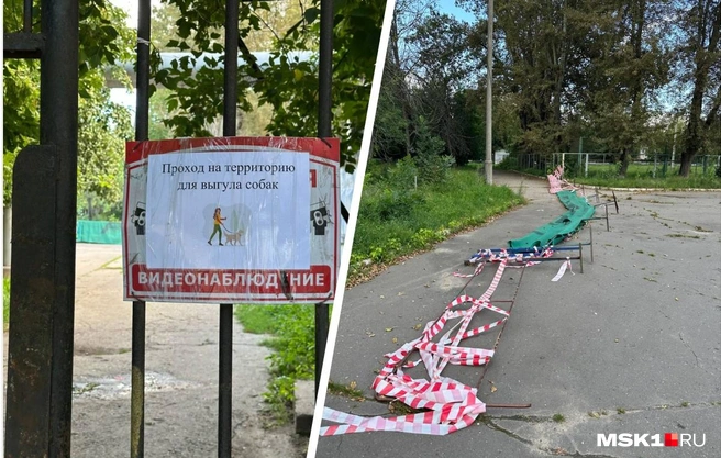 Недавно территорию стадиона оградили металлическими заборами | Источник: Андрей Овчаренко