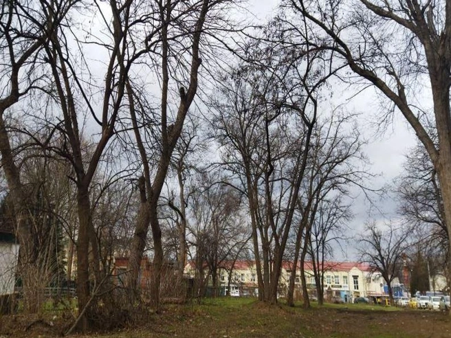 Так выглядит место, которое хотят привести в порядок | Источник: open.krasnodar.ru