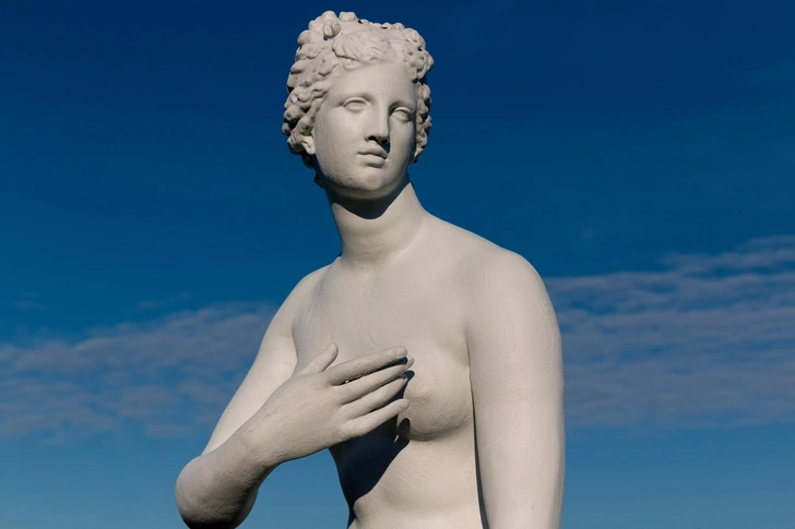 Источник: Soina Anastasia/Shutterstock/Fotodom.ru