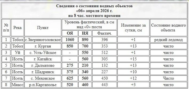 Источник: скрин с сайта Курганского ЦГМС