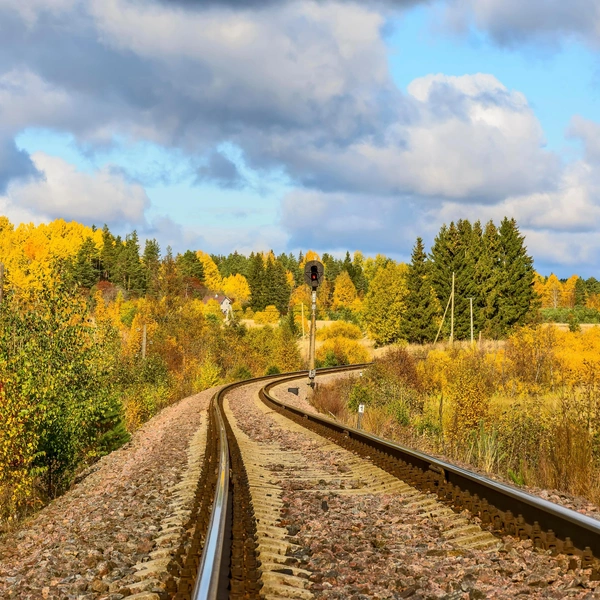 Источник: Zoya Avenirovna/Shutterstock/Fotodom.ru