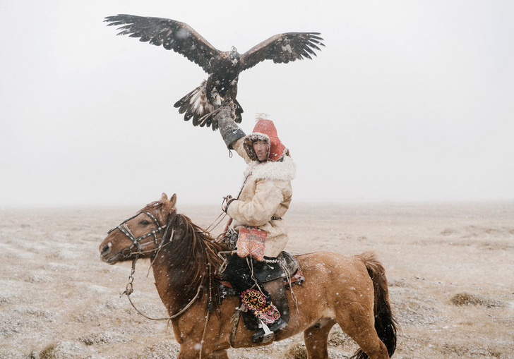 Фото №1 - Мир с комментариями в книге Northern Winds