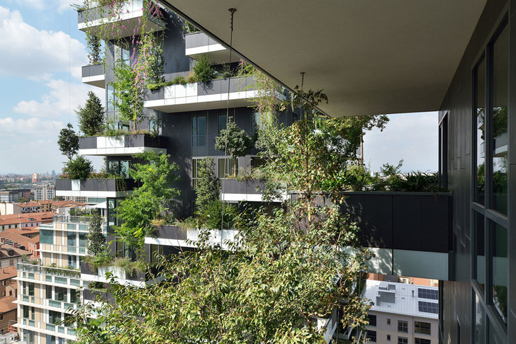 Квартиру в миланском небоскребе "Вертикальный лес" можно арендовать через AirBnb