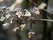 Прогноз на вторую половину ноября для всех знаков зодиака от Тамары Глобы