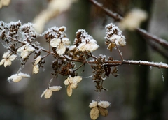 Прогноз на вторую половину ноября для всех знаков зодиака от Тамары Глобы