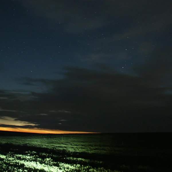 Источник: Наталья Пронина